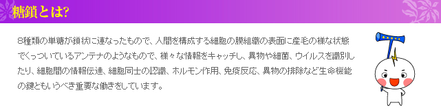 糖鎖（とうさ）