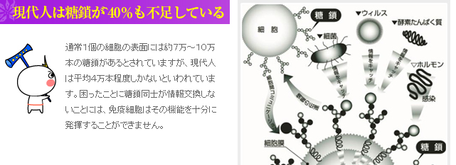 糖鎖（とうさ）
