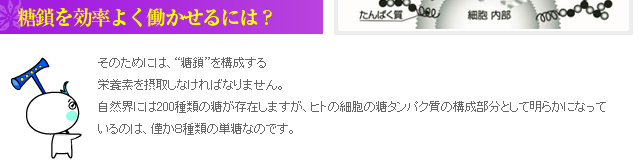 糖鎖（とうさ）