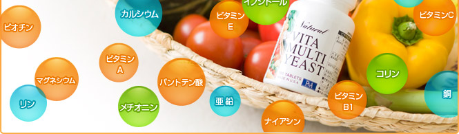 ビタマルチ・イースト