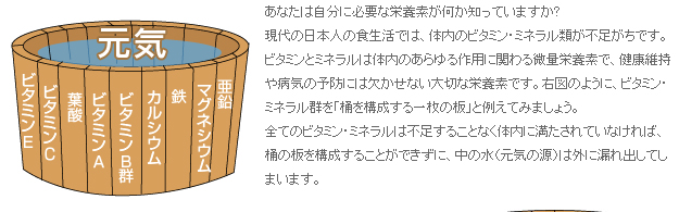 ビタミン・ミネラルの桶理論（リービッヒの桶理論）