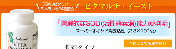ビタマルチ・イースト